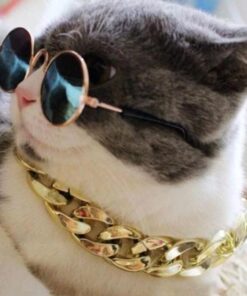 Collier De Sécurité En Chaîne Dorée Pour Chien et Chat