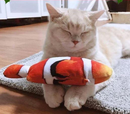 Jouet Poisson Pour Chat Ultra-réaliste